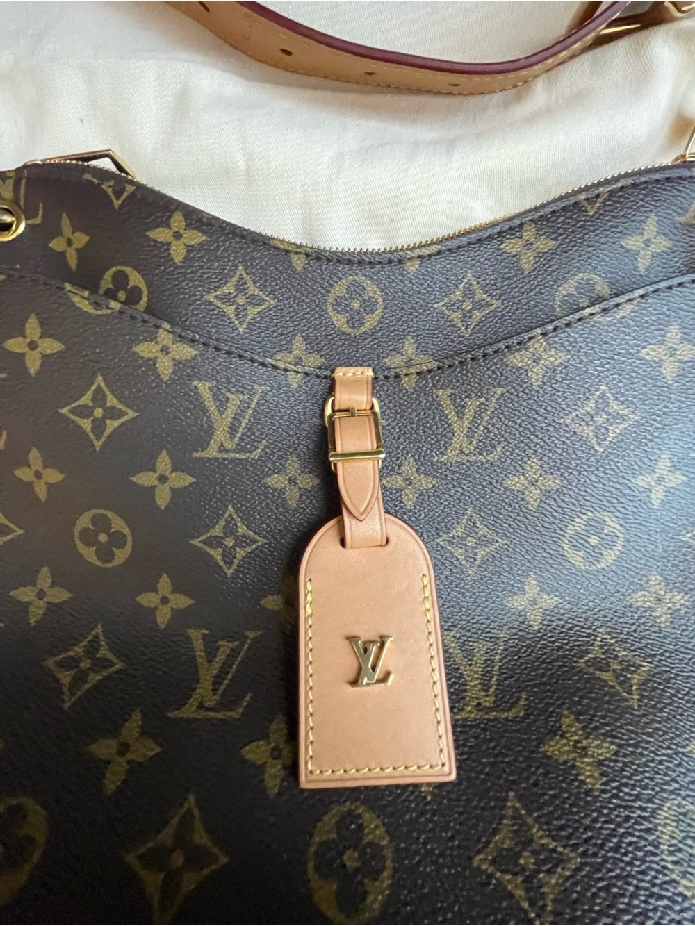 Louis Vuitton Odeon MM - Brown Monogram Shoulder Bag with Natural Vachetta Strap - Picture 4 of 16
